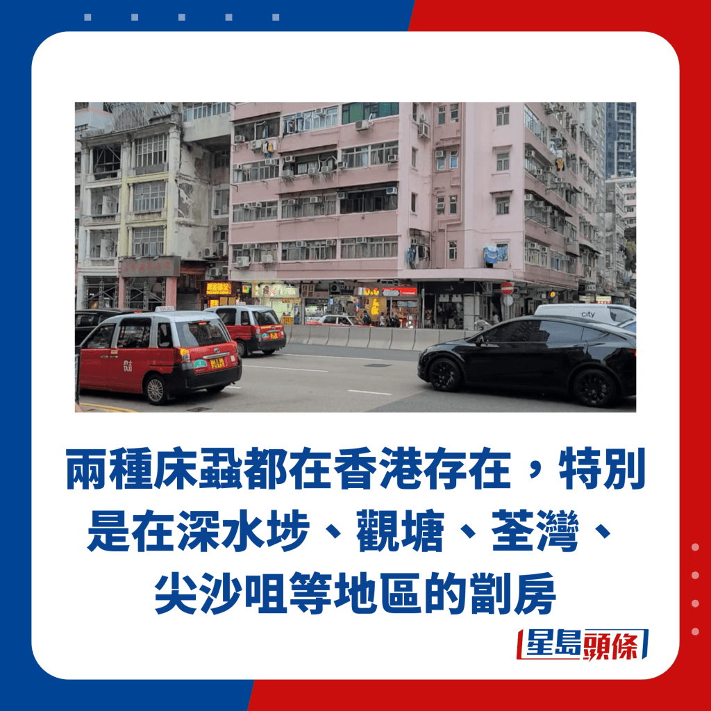两种床虱都在香港存在，特别是在深水埗、观塘、荃湾、 尖沙咀等地区的劏房