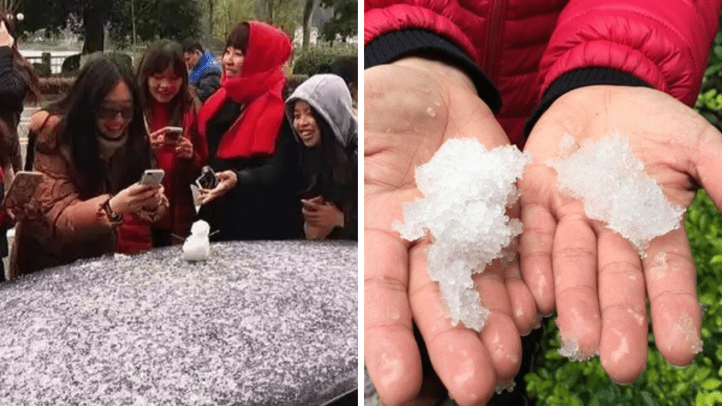 广州或时隔十年再「飘雪」，冬季最低温恐跌破2℃。