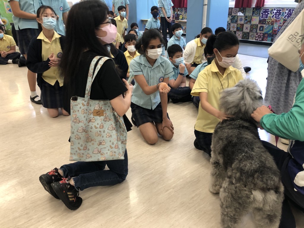 學校透過不同活動，多管齊下締造良好語境。