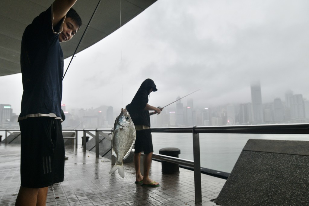 颱風小犬：八號風球下尖沙咀情況。（盧江球攝）