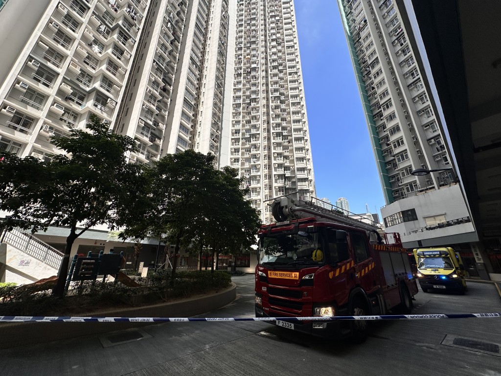 消防到場營救。梁國峰攝