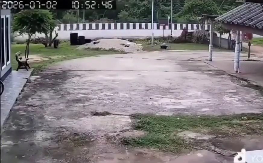 閉路電視拍下僧侶被貨車撞倒的情景。X@Berita.Viral.Update 閉路電視拍下僧侶被貨車撞倒的情景。X@Berita.Viral.Update