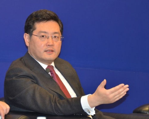 外交部副部长秦刚。网上图片