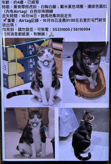 店員在網上發文，尋找「蒜頭」。