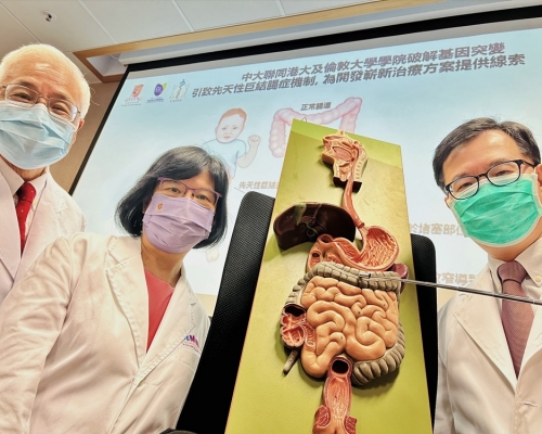 中大聯同港大及倫敦大學學院,破解基因突變引致先天性巨結腸症機制。中大醫學院圖片
