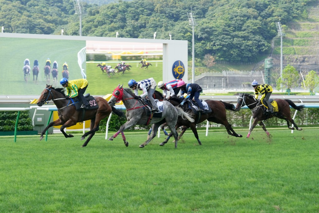 不少香港現役賽駒在從化馬場進行訓練。