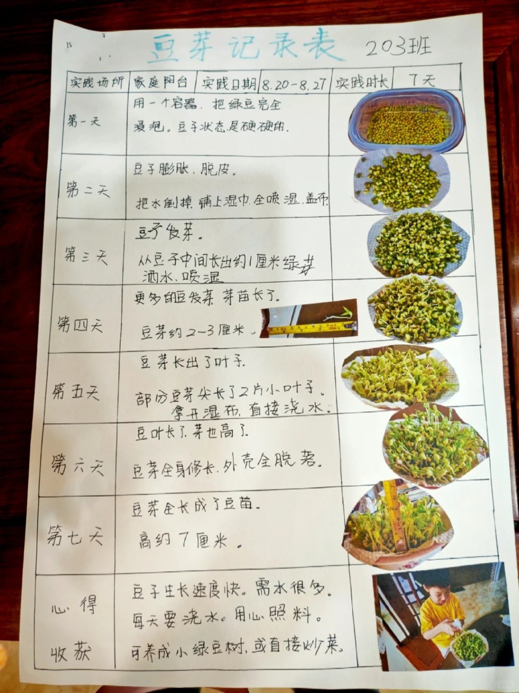 國慶長假中,許多家庭也要帶著綠豆芽出遊,讓孩子完成觀察日記功課。小紅書@西米 國慶長假中,許多家庭也要帶著綠豆芽出遊,讓孩子完成觀察日記功課。小紅書@西米