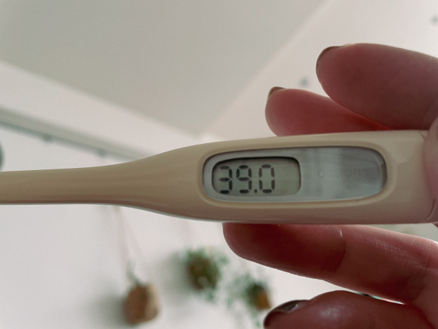 (圖片來源:PhotoAC) (圖片來源:PhotoAC)