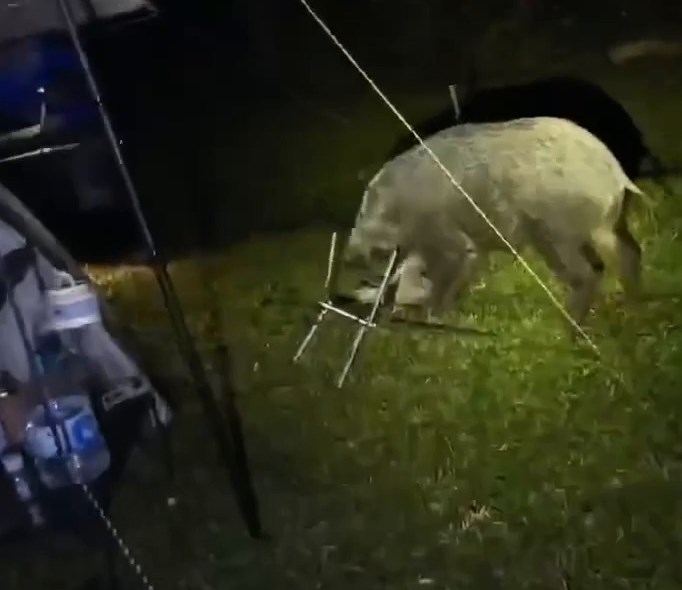 Threads截圖(資料來源:szewai_li@Threads) Threads截圖(資料來源:szewai_li@Threads)