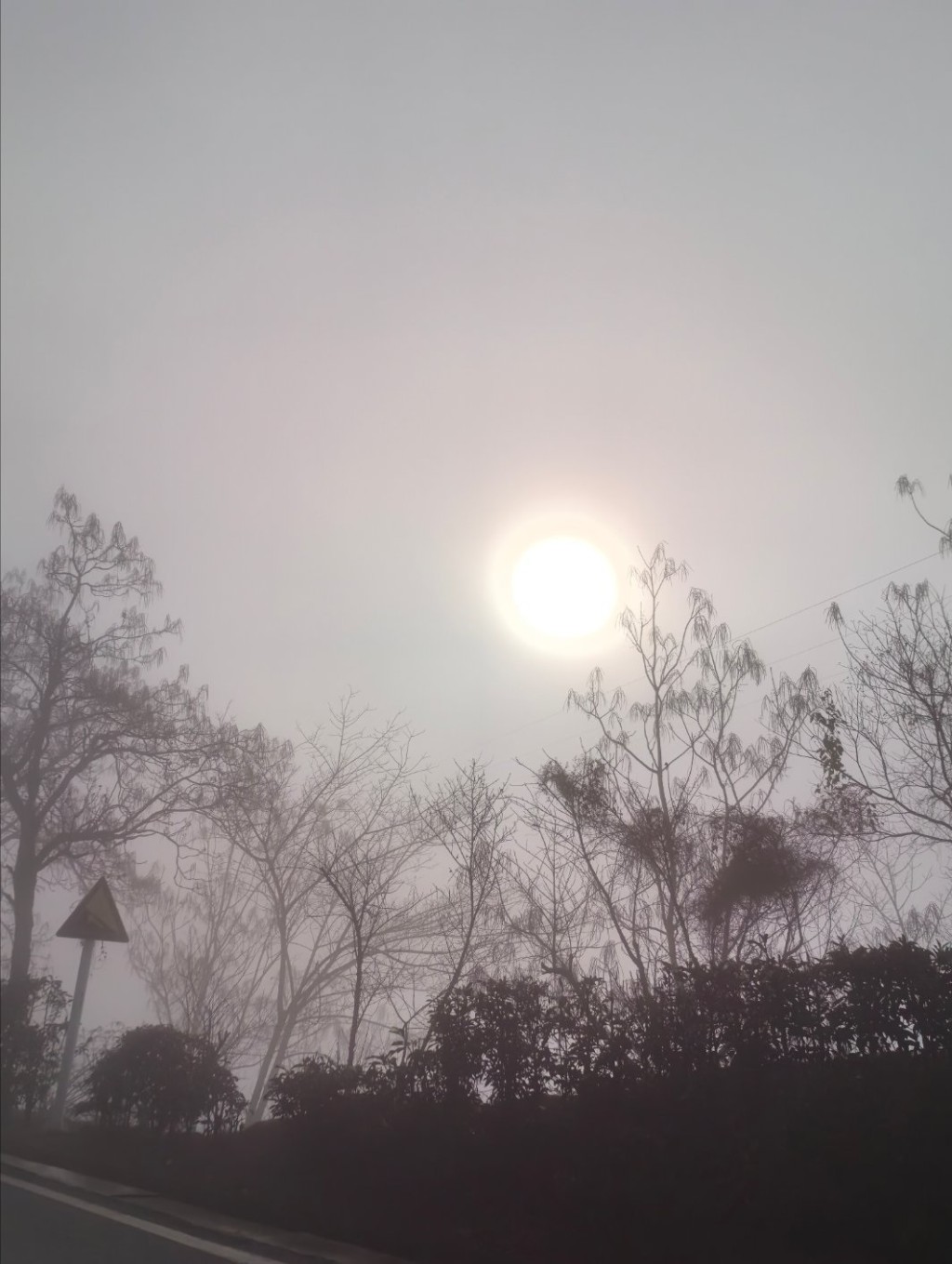 内地多地发大雾黄色预警，广东、浙江等部份地区能见度不足200米。微博