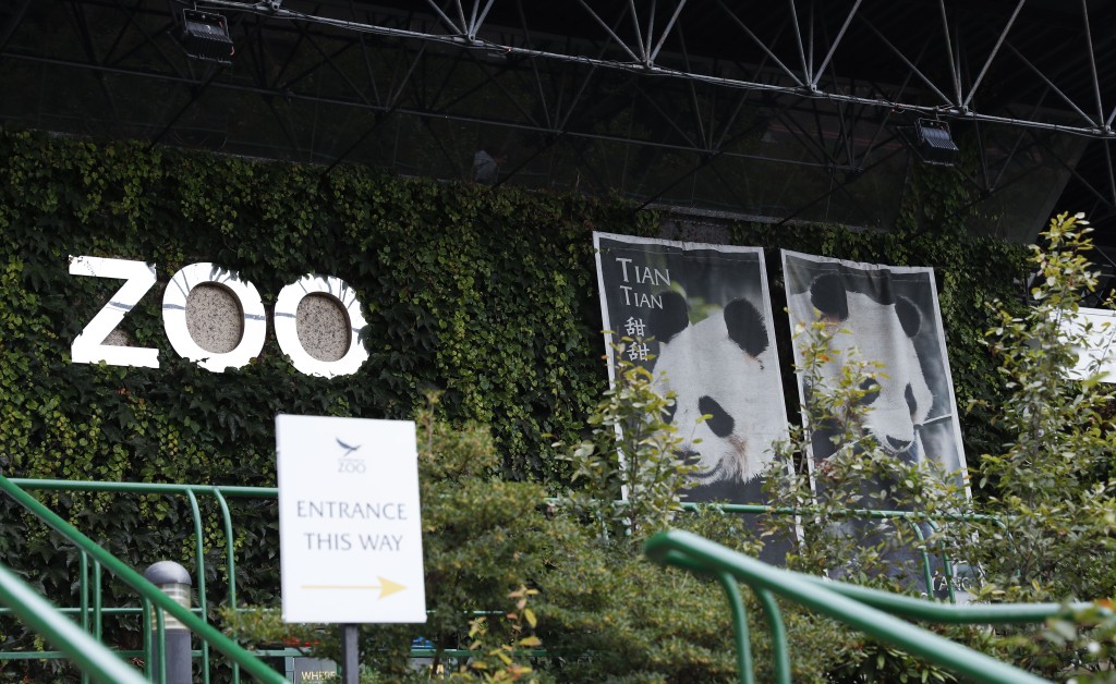 愛丁堡動物園的大熊貓館入口。 新華社