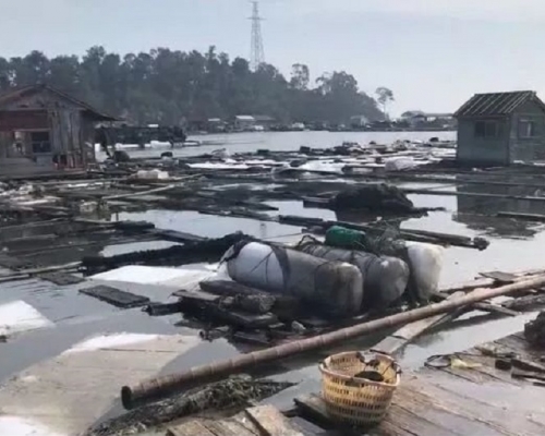 福建泉州发生泄漏化工原料「碳九」。网上图片