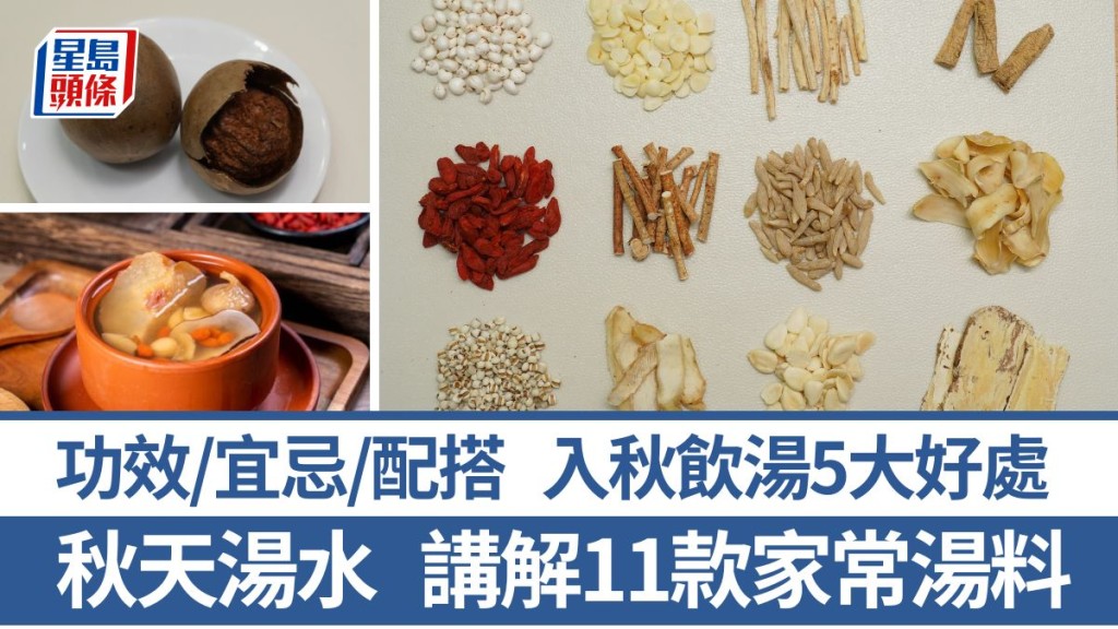 秋天湯水5大好處 11款家常湯料功效/宜忌/配搭 4大選購保存法 黨參/沙參/玉竹/百合/杞子/北芪/羅漢果/五指毛桃/南北杏/麥冬/生熟薏米｜食材知識