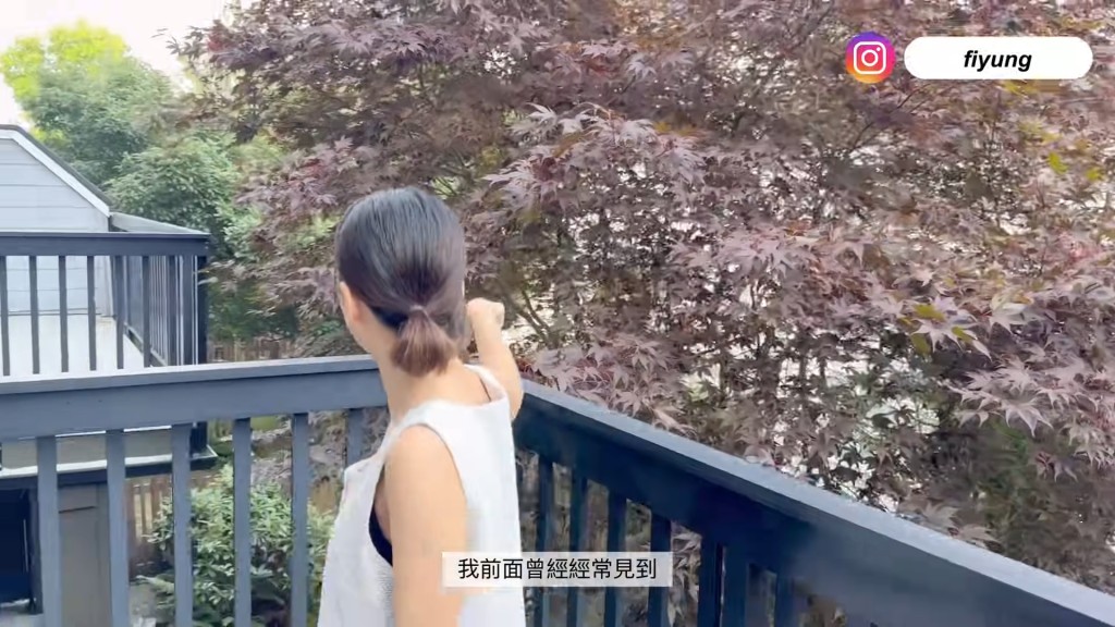 獨立屋有花園與露台。 獨立屋有花園與露台。