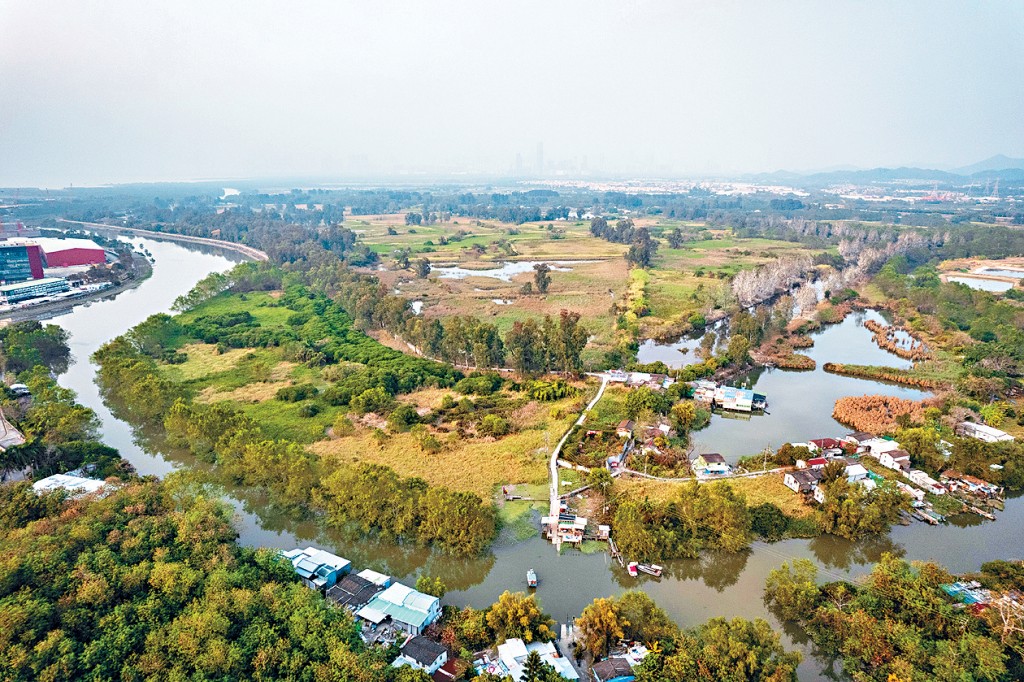 南生圍「雙生共融」發展方案，環評報告昨正式曝光，並展開長達1個月公眾諮詢。