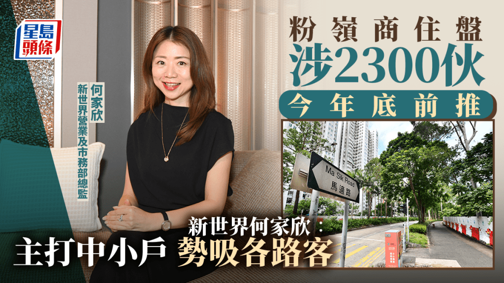 粉嶺商住盤涉2300伙 今年底前推 新世界何家欣：主打中小戶 勢吸各路客
