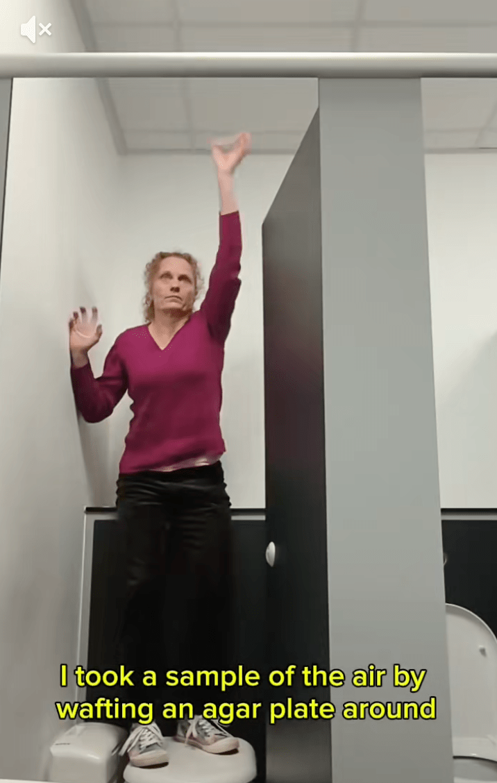 同時以另一皿在普通空氣中揮動作對照。