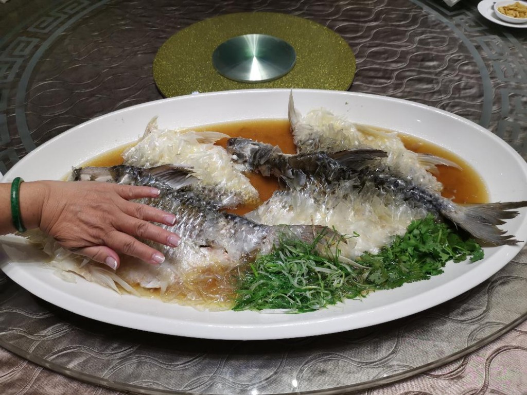 名貴超巨型吉利魚肉質鮮甜，好好味。