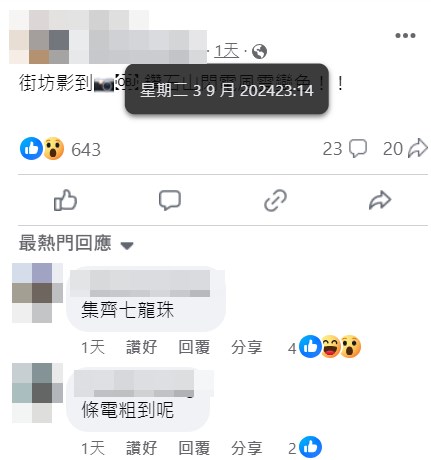 粗身闪电。fb「车cam L（香港群组）」截图