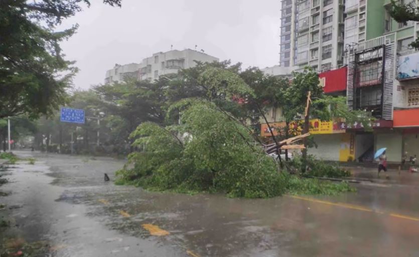 江西撫州周二出現12級雷雨大風天氣，風力強如颱風。