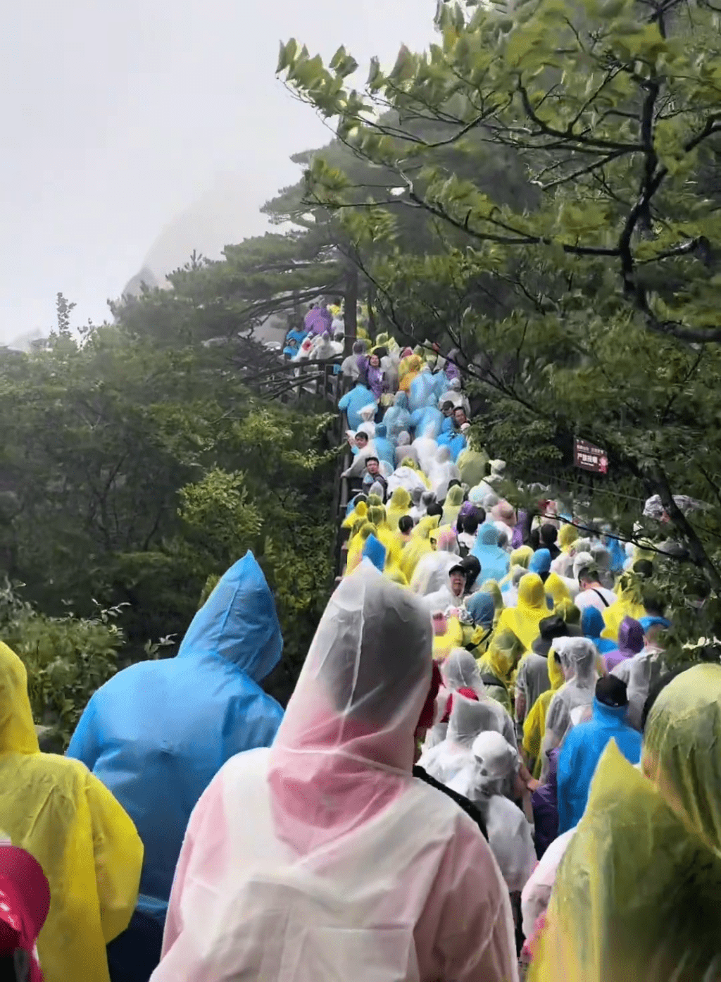 颱風白海豚為黃山帶來大風雨,纜車停擺下數百旅客冒雨「打蛇餅」落山。 抖音 颱風白海豚為黃山帶來大風雨,纜車停擺下數百旅客冒雨「打蛇餅」落山。 抖音