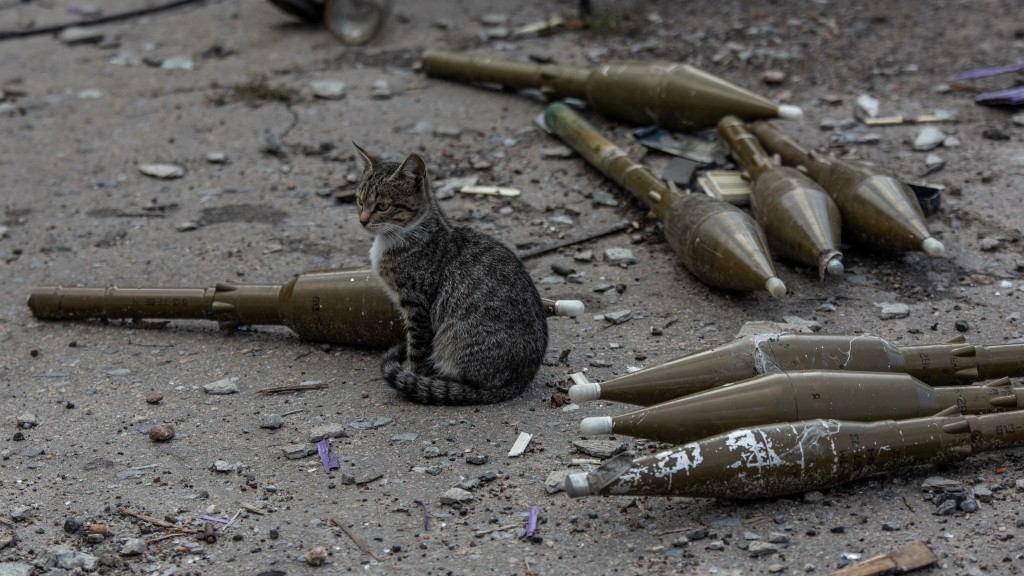 在烏克蘭哈爾科夫地區，一隻貓坐在俄軍陣地的RPG-7 榴彈發射器旁。 路透社