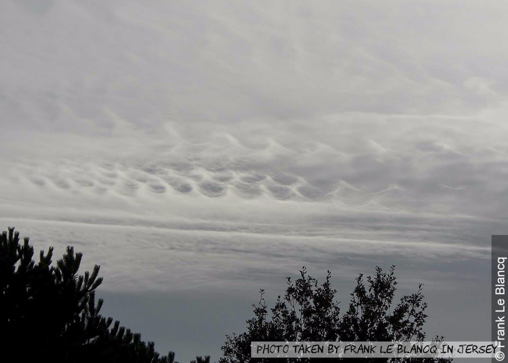 浪形雲。天文台網頁截圖