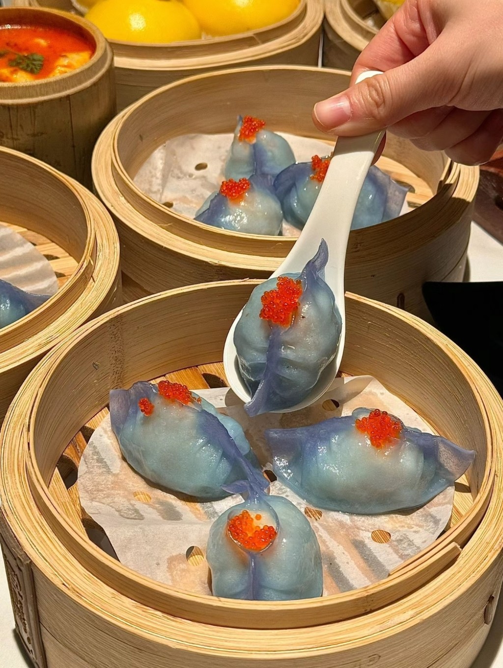 广州创新饮茶美食2024 | 4. 小查楼 必吃美食蓝色海鲜虾饺，有鱼子酱点缀。（图片来源：小红书@锺国仁）　