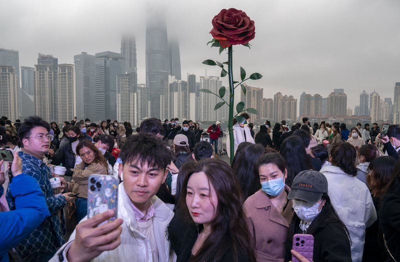 巨型玫瑰，是上海情人節「驕」點。
