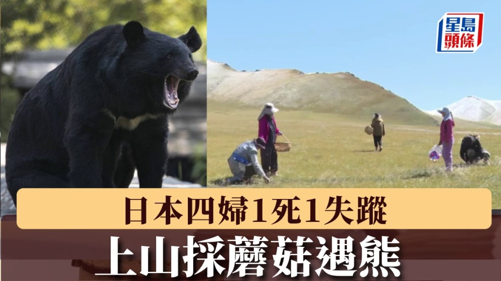 日本四名婦人相約到山上採蘑菇，不料發生慘案。（示意圖）新華社/美聯社