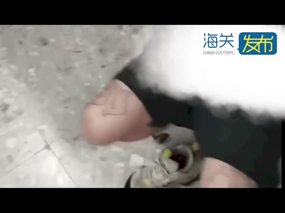 海關在男客內褲搜出一個塑膠袋。 海關發布 海關在男客內褲搜出一個塑膠袋。 海關發布