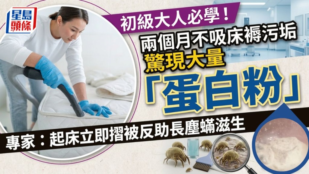 初级大人必学！两个月不吸床褥污垢惊现大量「蛋白粉」专家：起床立即折被反助长尘螨滋生附清洗床具指南