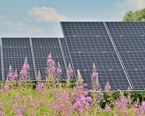 消費者委員會指，坊間有承辦太陽能光伏系統的公司，其服務質素參差，以致有消費者付款後因種種問題而招致損失。unsplash圖片（示意圖）