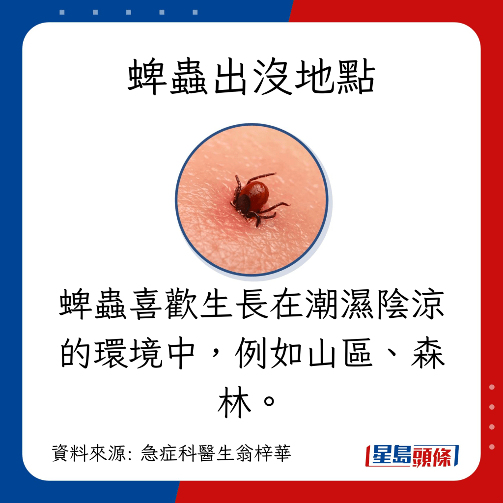 蜱蟲特徵、出沒地點，以及被叮咬後會出現的症狀