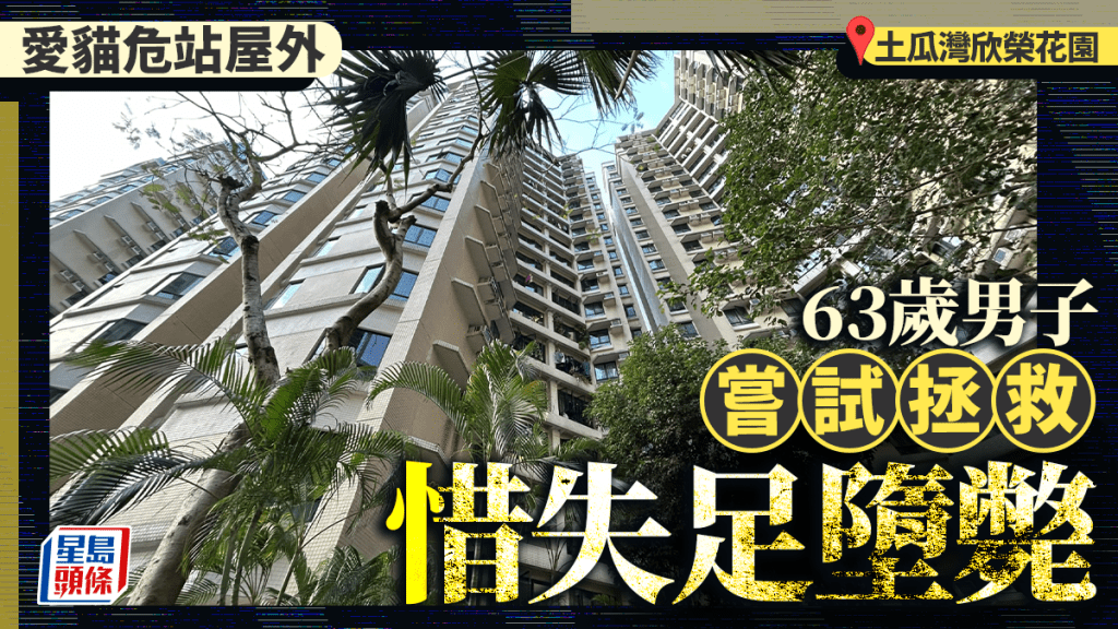 土瓜灣男子為救愛貓失足墮樓 倒卧花槽送院不治