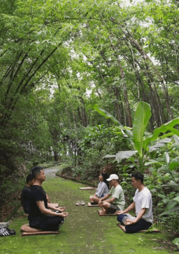 年輕人在林間打坐，調節身心。