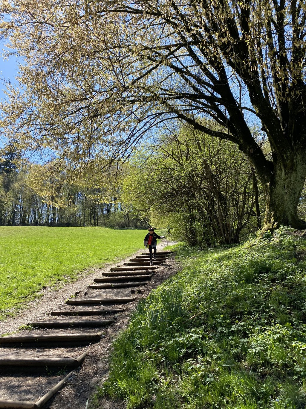 斯洛文尼亞的環保意識高，為歐盟國家綠化程度第三高的國家。