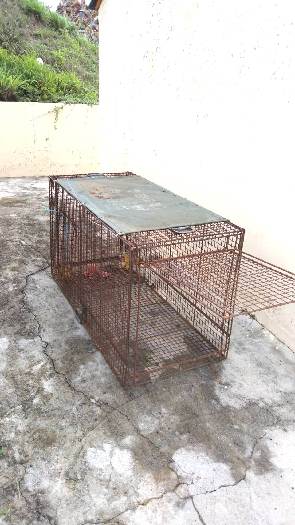 有關人員在民居範圍設置誘捕籠。網圖