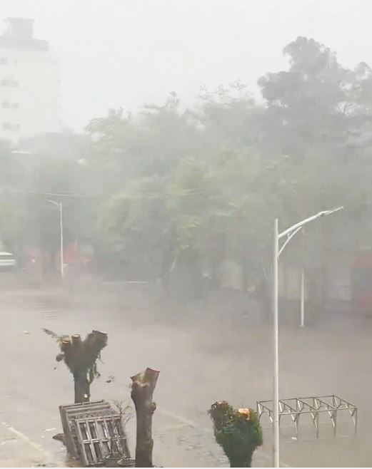 「贝碧嘉」为上海带来强风暴雨。