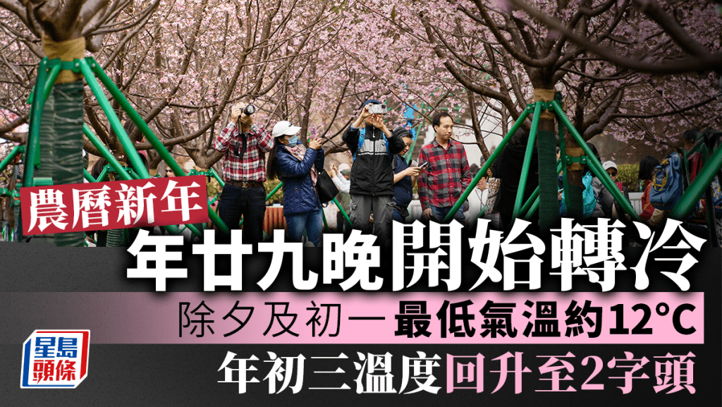 初三更升到14度,最高氣溫達20度。