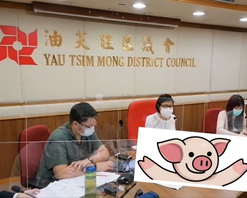 油尖旺區議會通過以「連登豬」加入節日燈飾設計，但被民政署反對。佐敦南區陳梓維議員辦事處FB影片截圖/網圖