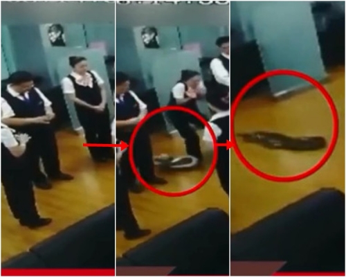 開會途中大蟒蛇從天花降下。網圖