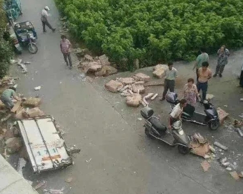 10噸豬肉翻車遭哄搶，東台市委就事件致歉。(網圖)