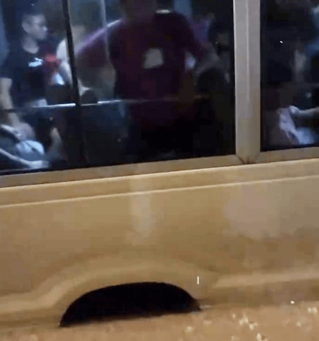 按目測，當時水位的高度浸過小巴的車胎，小巴上有多名乘客，有人按捺不住站了起身，觀察外面的情況。Thread@mhot_toys