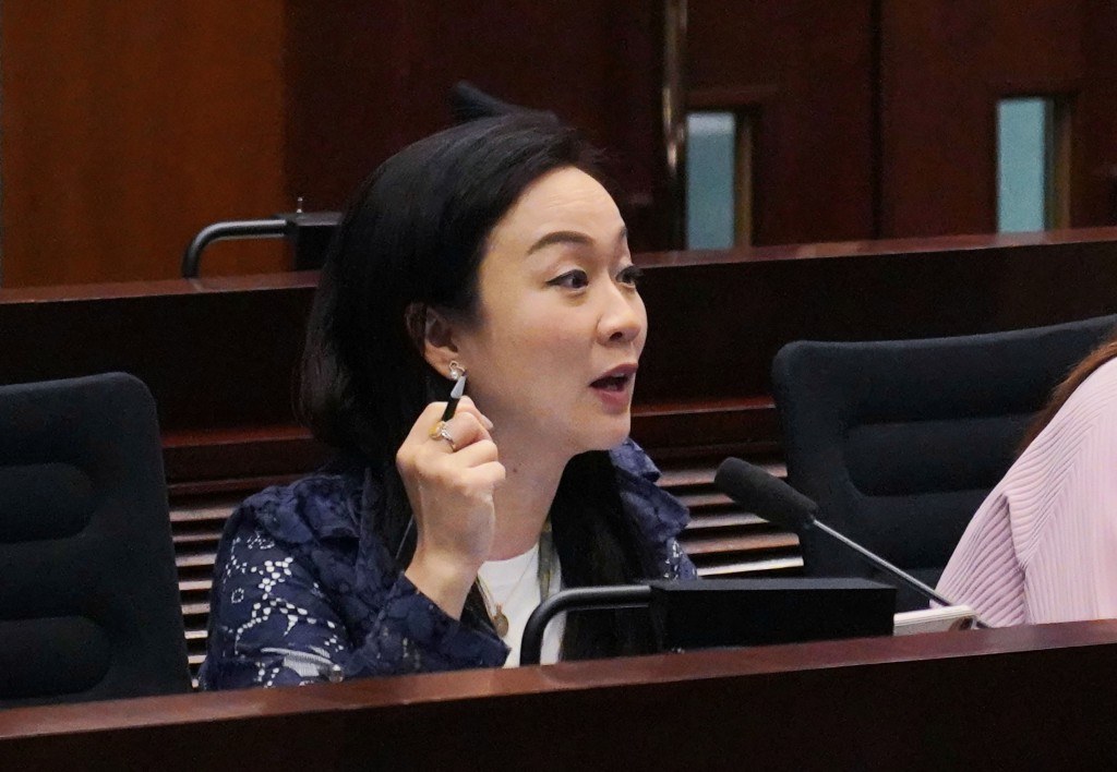 食物安全及環境衞生事務委員會的主席,由選委界陳凱欣當選。資料圖片 食物安全及環境衞生事務委員會的主席,由選委界陳凱欣當選。資料圖片