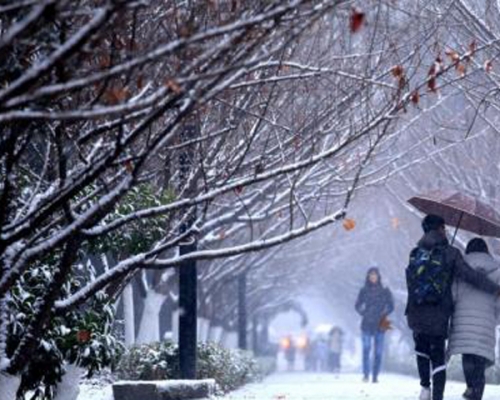 西安迎來2018年第一場降雪。 網上圖片