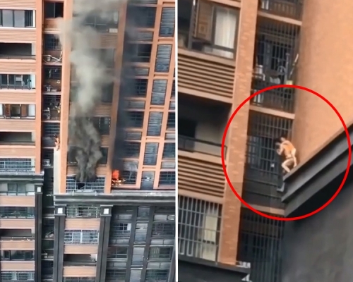 长沙一住户发生火灾，一名男子背著孩子顺著防盗窗往下爬逃生。 影片截图