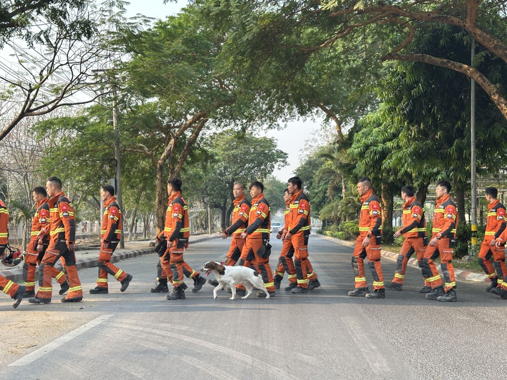 消防處帶同兩隻搜救犬參與緬甸地震的救援行動。 香港消防處提供圖片
