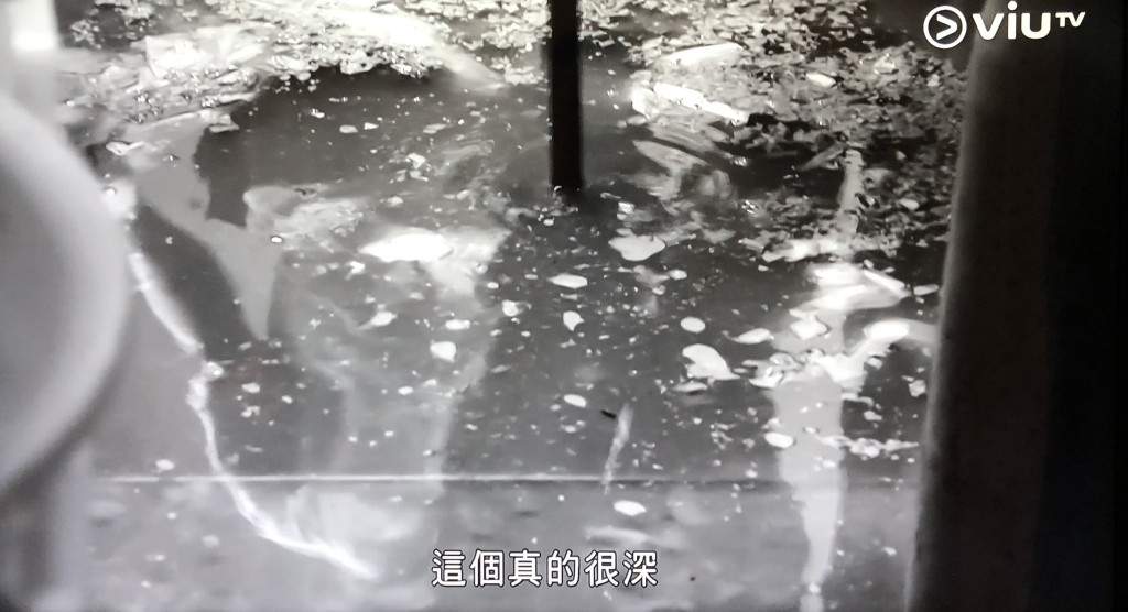齋睇畫面都唔開胃......