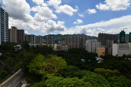 從單位內向外望，近為綠樹，遠為開揚樓景望火炭駿景園。